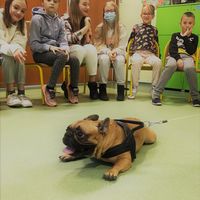 butkus1