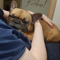 butkus8