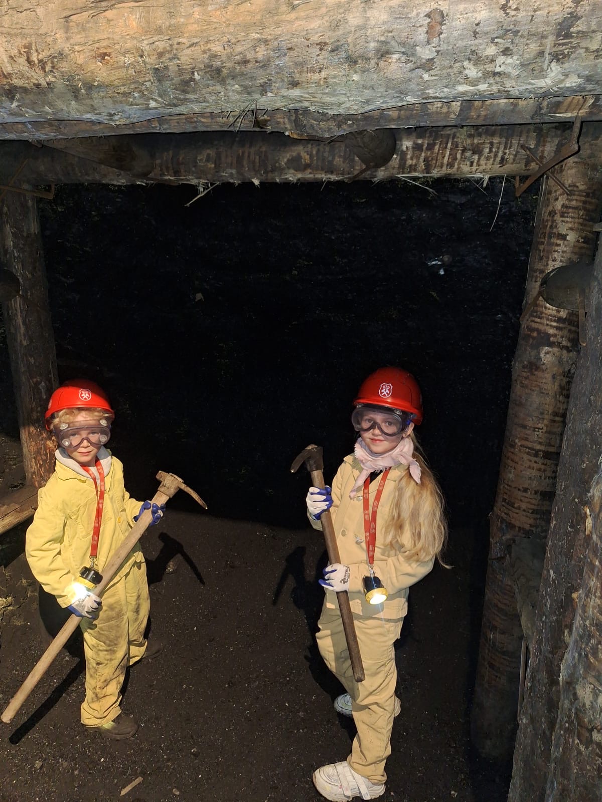 4cb662c7 58d1 46d1 8799 03e39e4d423b