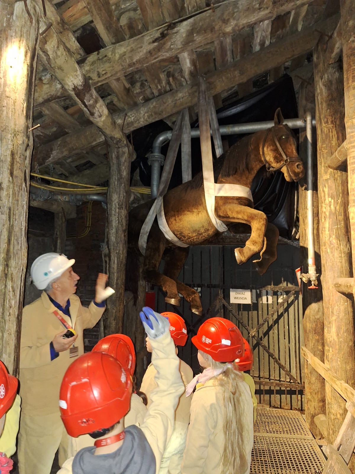 ba4f3802 7f7c 4811 b84c 71426588b91a