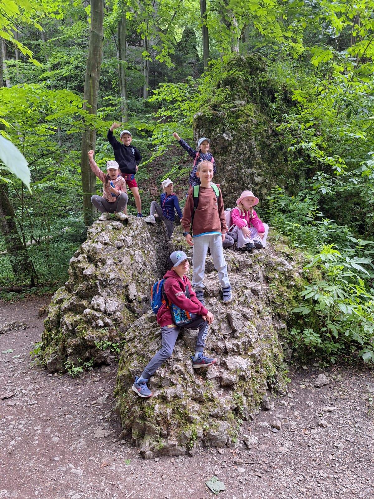 62d601d7 8682 4e50 a35a 2f1dbd54d24f