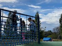 C6CEA2EC E64E 4FD0 A631 30821BB8E018