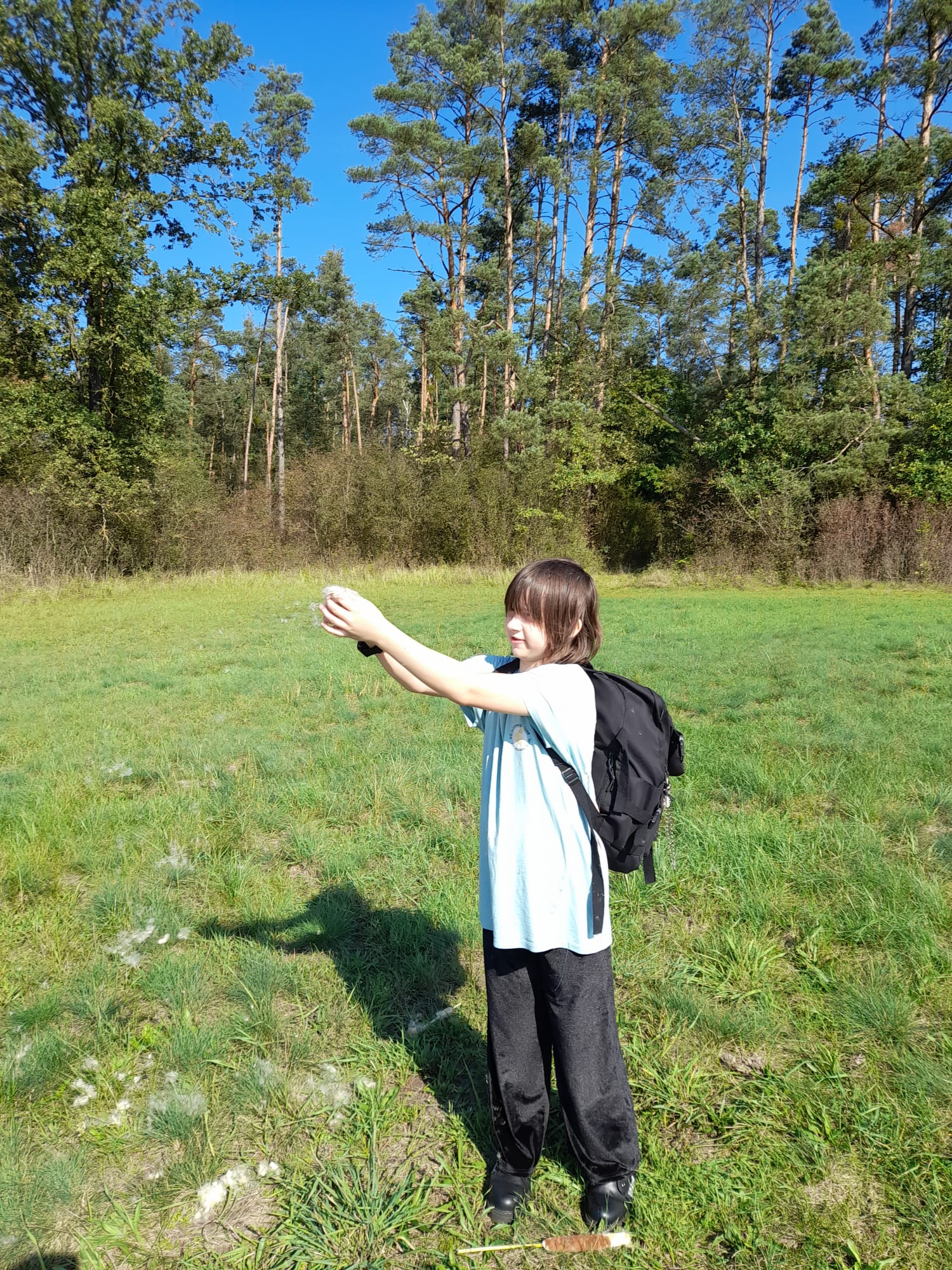 9527f525 cca3 451f 93d5 f1d8d2cff601