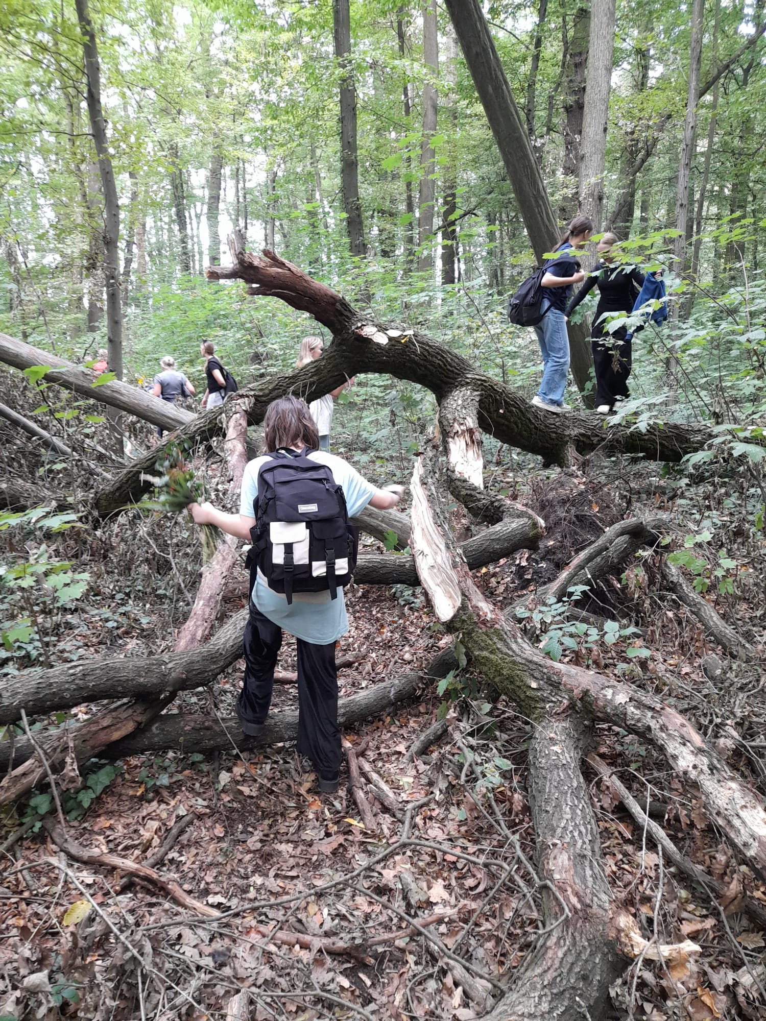 af5cefd7 39af 4e94 92bd 8f7979603bca