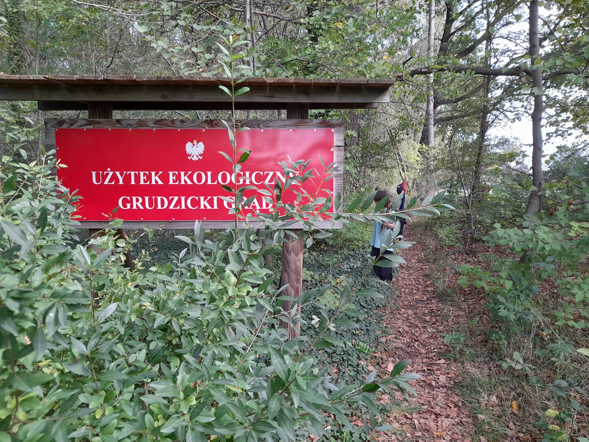 d0d86039 e8a5 4057 8b29 4517cad78d57