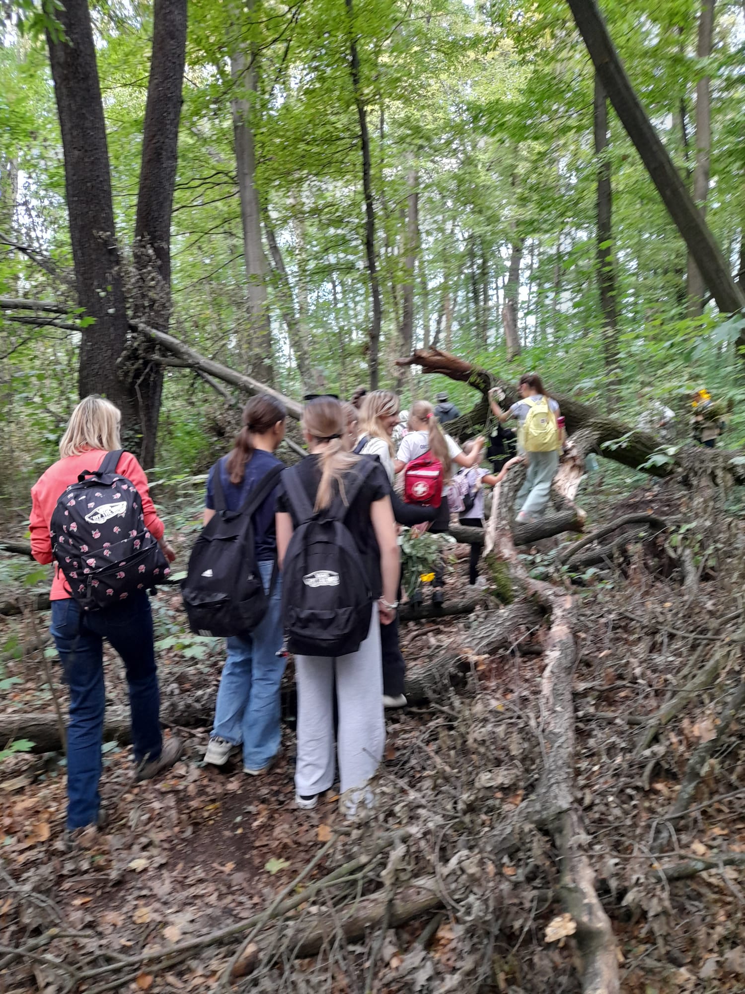 e346f5fb 974d 493c bf3d cf9f09ed81d6