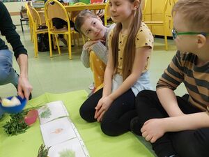 5596C810 E158 44B0 85DE 8709D99F5A32