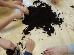 9D15A6CD C37F 4FA4 82C3 1E712C34FCD8