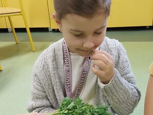 A21B9BF9 4E86 43EE 9503 A68F34EA2BD3