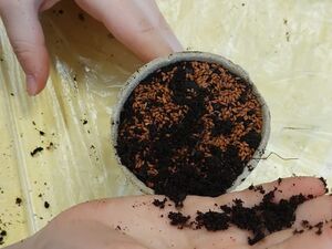 E9E9CF3A CB45 4EA4 9804 FE12A35506F6