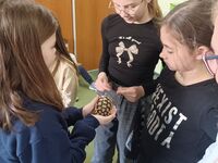 b2e835c4 c251 4974 bdb1 5e342c318602